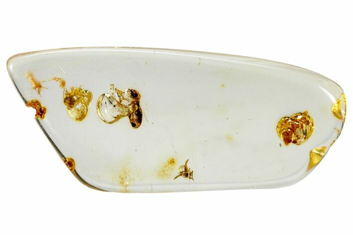 Polished Colombian Copal ( g) - Contains Termites! #326748